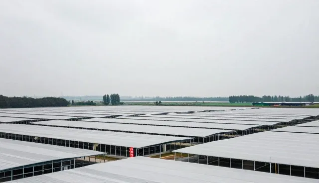 网站建设中SEO优化的常见误区与正确理解